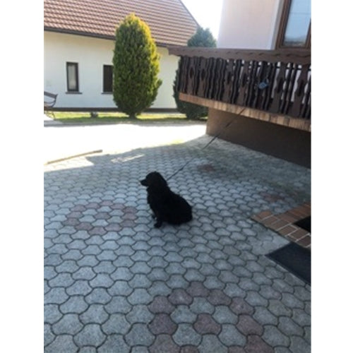 Mr.Pet spletna trgovina