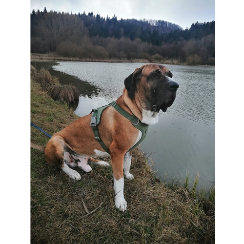 Mr.Pet spletna trgovina