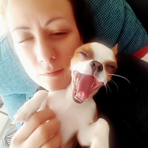 Mr.Pet spletna trgovina