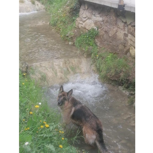 Mr.Pet spletna trgovina
