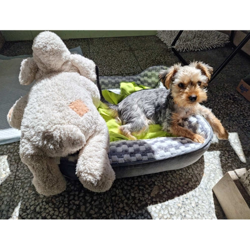 Mr.Pet spletna trgovina