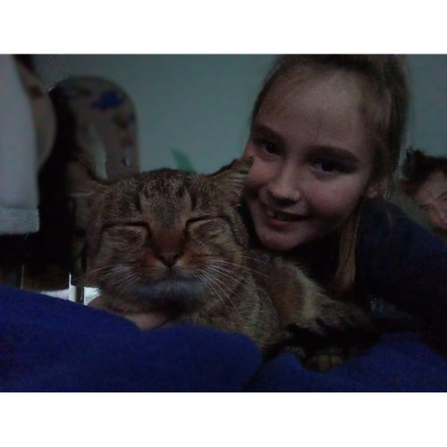 Mr.Pet spletna trgovina
