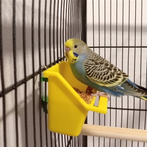 Mr.Pet spletna trgovina