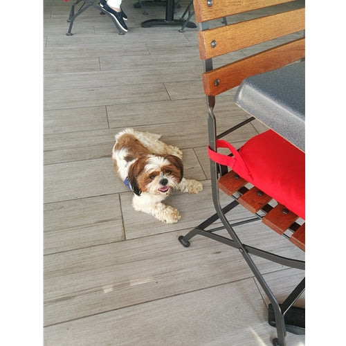 Mr.Pet spletna trgovina