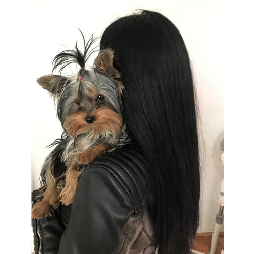 Spletna trgovina Mr.Pet