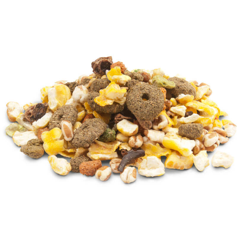 Versele-Laga Snack Crispy Popcorn - 650 g (2)