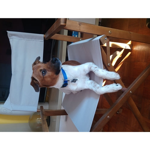 Mr.Pet spletna trgovina