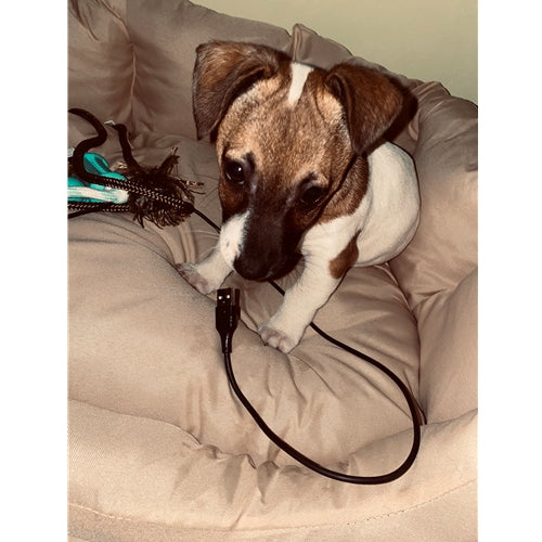 Mr.Pet spletna trgovina
