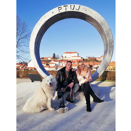 Mr.Pet spletna trgovina