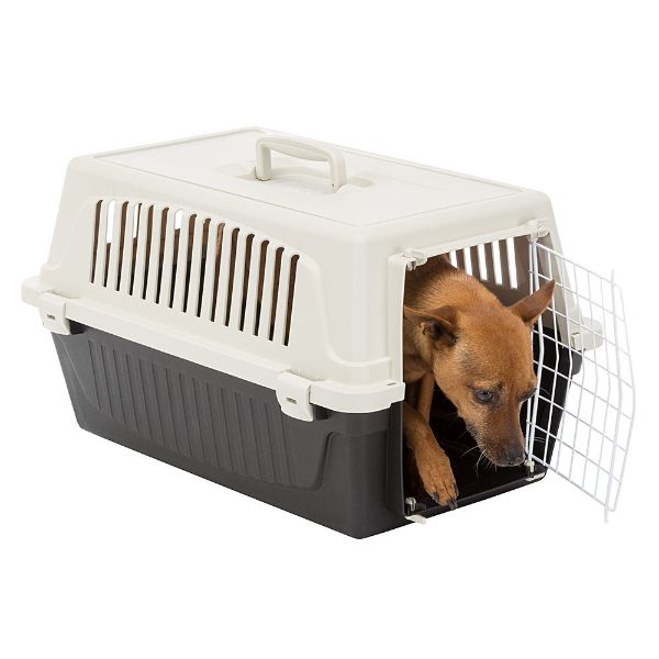 Ferplast Atlas 20 transporter - 58 x 37 x 32 cm (2)