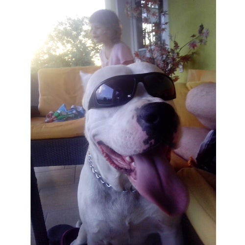 Mr.Pet spletna trgovina