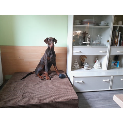 Mr.Pet spletna trgovina