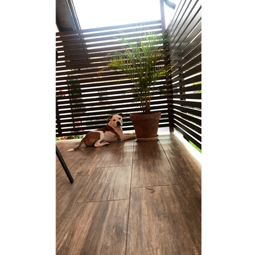 Mr.Pet spletna trgovina