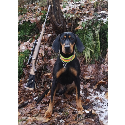 Mr.Pet spletna trgovina