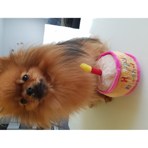 Mr.Pet spletna trgovina