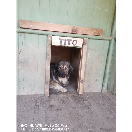 Mr.Pet spletna trgovina