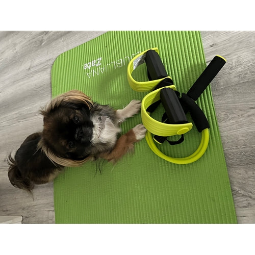 Mr.Pet spletna trgovina