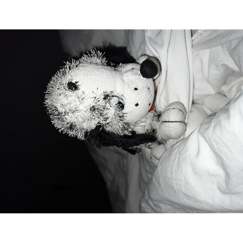 Mr.Pet spletna trgovina