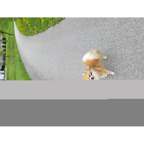 Mr.Pet spletna trgovina