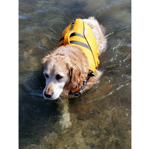 Spletna trgovina Mr.Pet