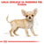 Royal Canin Chihuahua Puppy - 0,5 kg (4)