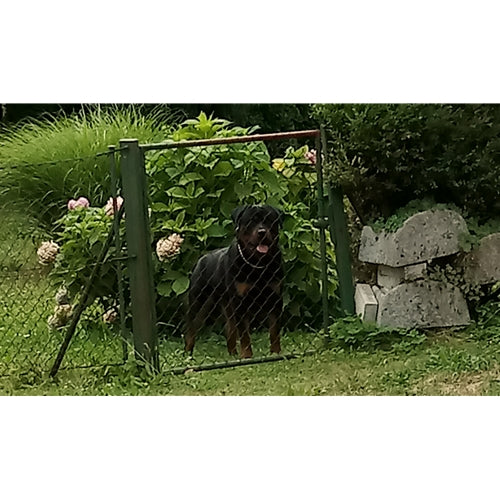 Mr.Pet spletna trgovina
