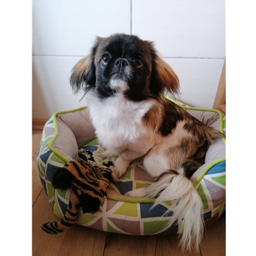 Mr.Pet spletna trgovina