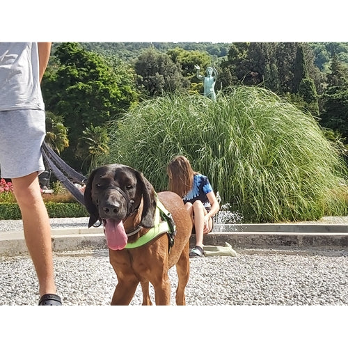 Mr.Pet spletna trgovina