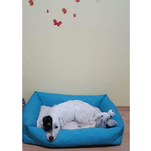 Mr.Pet spletna trgovina