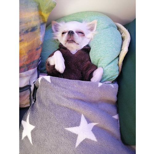 Mr.Pet spletna trgovina