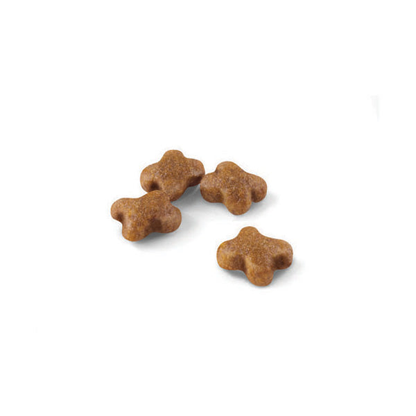 Royal Canin Kitten - 10 kg (2)