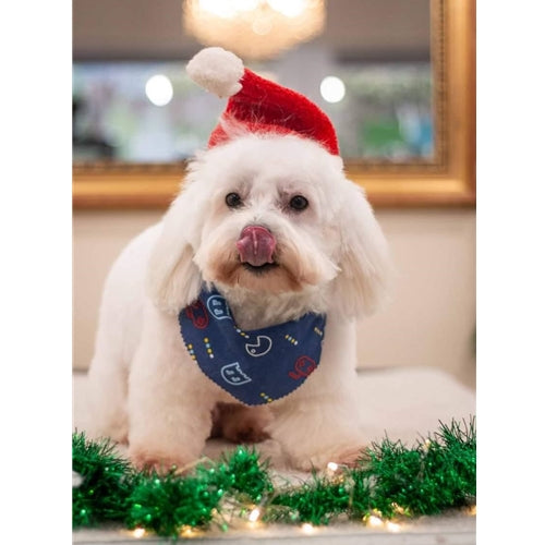 Mr.Pet spletna trgovina