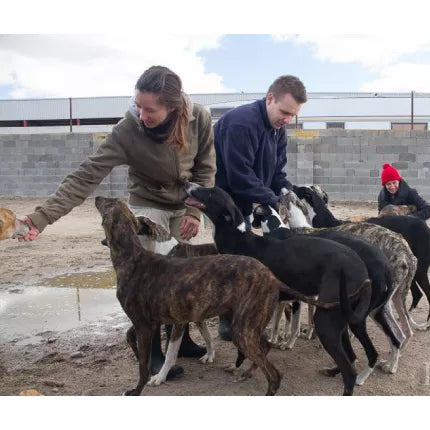 Spletna trgovina Mr.Pet