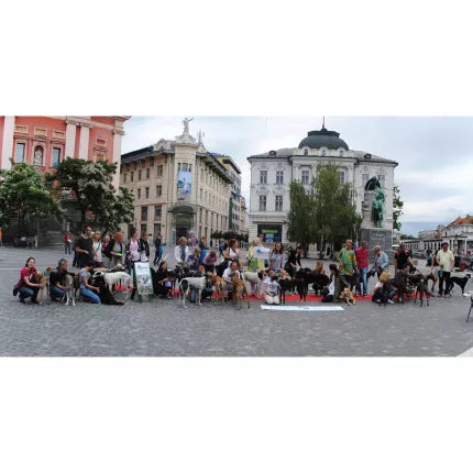 Spletna trgovina Mr.Pet