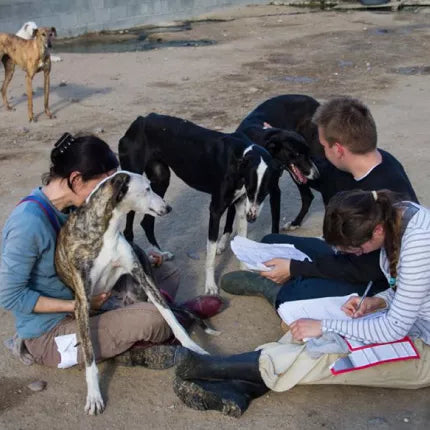 Spletna trgovina Mr.Pet