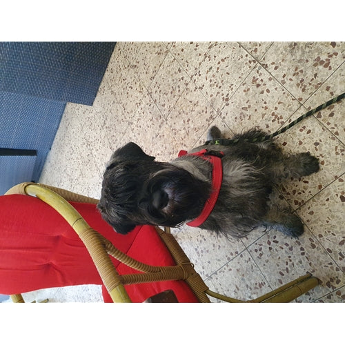 Mr.Pet spletna trgovina