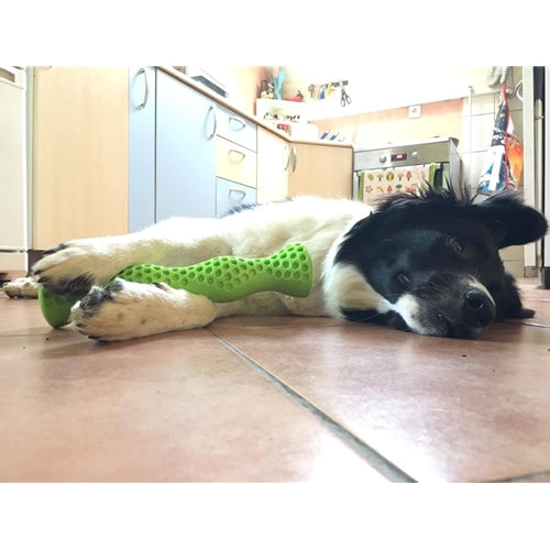 Mr.Pet spletna trgovina