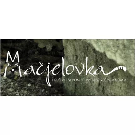 Društvo za pomoč prostoživečim mačkam Mačjelovka