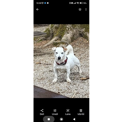 Mr.Pet spletna trgovina