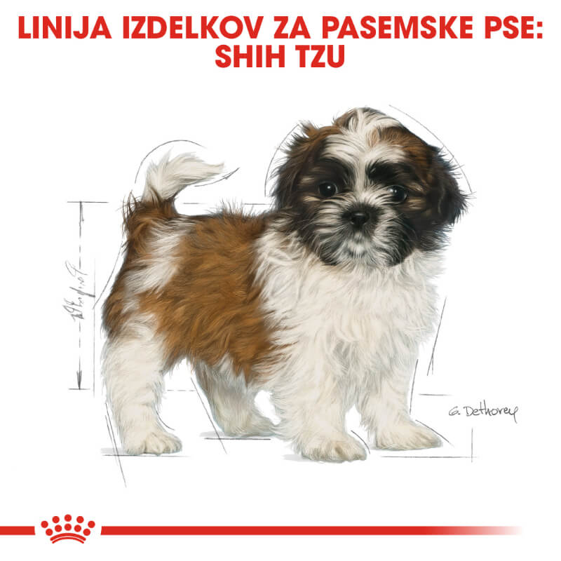 Royal Canin Shih-tzu Puppy - 1,5 kg (4)