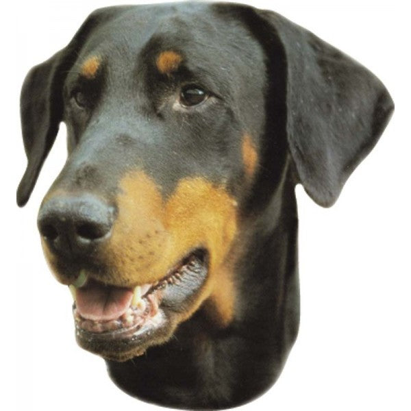 Pasemske nalepke, različne pasme (2 kos) - doberman