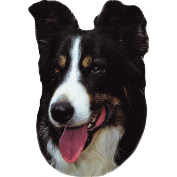 Pasemske nalepke, različne pasme (2 kos) - border collie