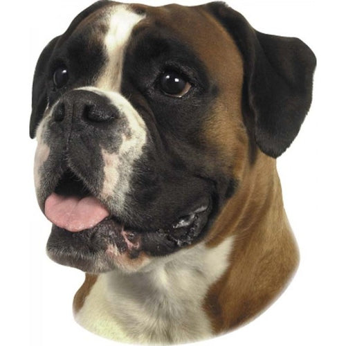 Pasemske nalepke, različne pasme (2 kos) - bokser