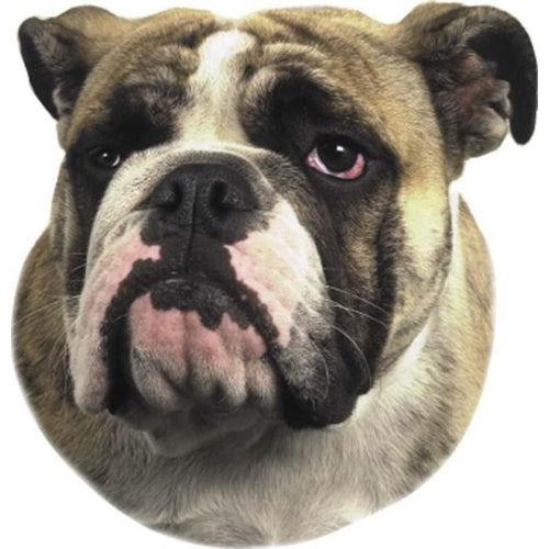 Pasemske nalepke, različne pasme (2 kos) - buldog