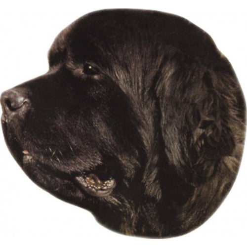 Pasemske nalepke, različne pasme (2 kos) - novofundlandec