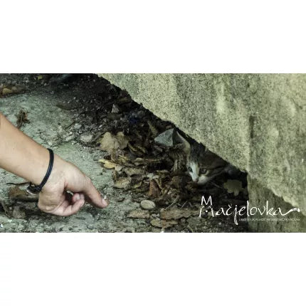 Spletna trgovina Mr.Pet