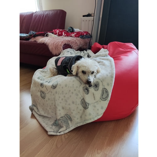 Mr.Pet spletna trgovina