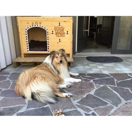 Mr.Pet spletna trgovina