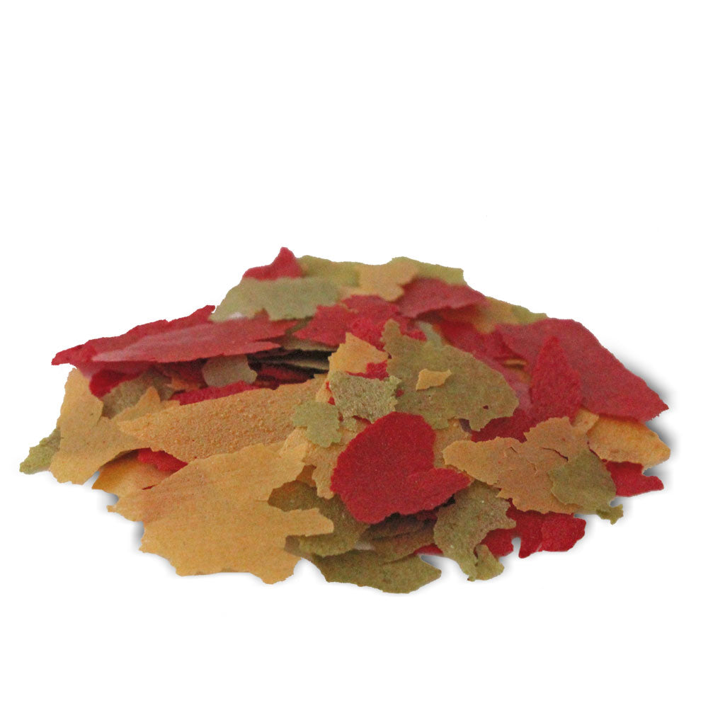 Prodac Color - 100 ml / 20 g