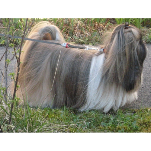 Mr.Pet spletna trgovina